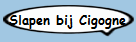Slapen bij Cigogne